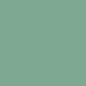 S 3020-G