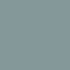 S 4010-B50G
