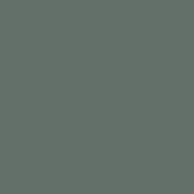 S 6005-G